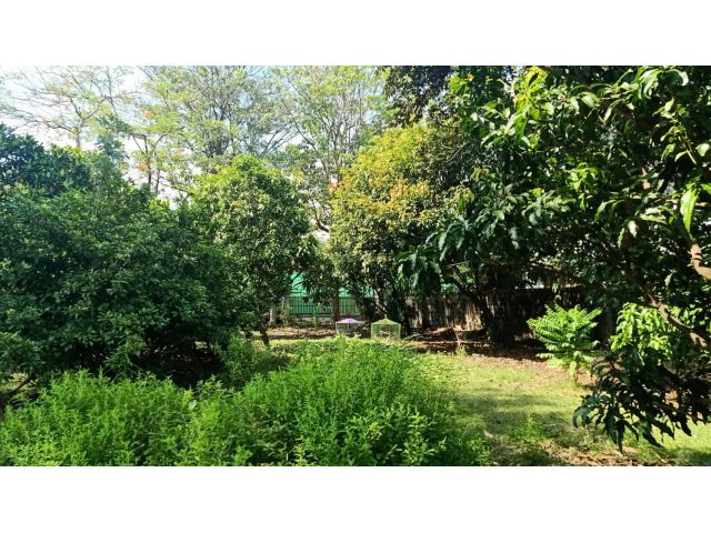 ขาย ที่ดิน ม.วิชิตนคร 2 ซอย 39 ท่าข้าม