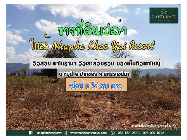 ขายที่ดินเขาใหญ่ #ที่ดินราคาถูกตำบลหมูสี #วิวเขาใหญ่ล้อมรอบ #บรรยากาศดีมาก