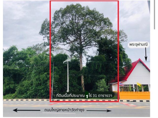 ขายที่ดินหน้าวัดท่าซุง ติดถนนใหญ่