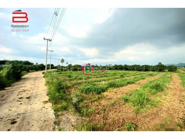 ที่ดินเปล่า เทศบาล 6 ซอย 2 เนื้อที่ 3-1-69 ไร่ ถนนมิตรภาพ อ.ปากช่อง จ.นครราชสีมา