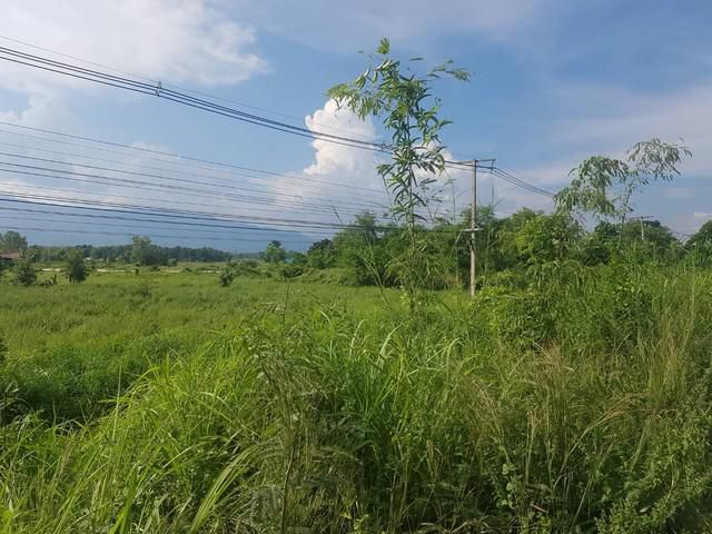 ขายทรัพย์ดีน่าจับจอง ติดถนนเอเซีย ถ.พหลโยธิน
