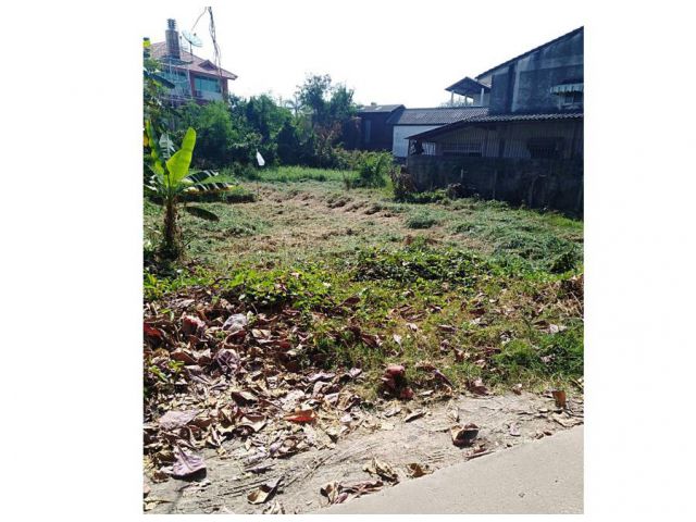 ขายที่ดินใกล้ตลาดหนองหอย ที่ดิน 235 ตร.วา. เหมาะสำหรับสร้างบ้านและทำธุรกิจ