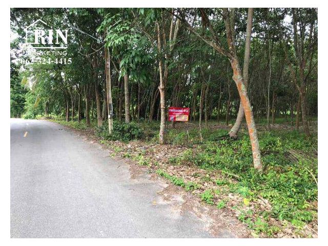 รหัสทรัพย์ :   AK120521-02 ที่ดินสวนยาง ชากบก  บ้านค่าย ระยอง
