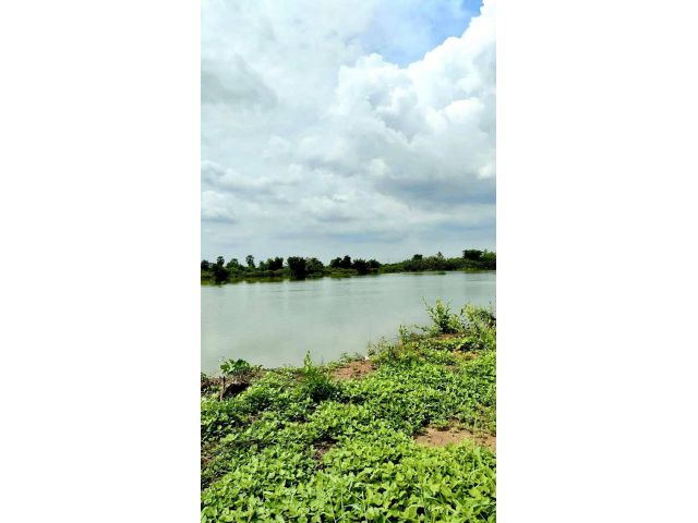ขายที่ดินติดแม่น้ำบางปะกง 4 ไร่ บรรยากาศดีใกล้ถ.เส้น 34181 - 2 กม.ได้ที่งอกเพิ่ม 150 ตรว. อ.คลองเขื่อน จ.ฉะเชิงเทรา