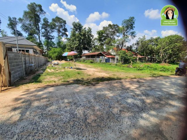 ที่ดินสร้างบ้าน 146 ตร.ว. บ้านคอนสาย/ ยโสธร  ราคา 520,000 บาท