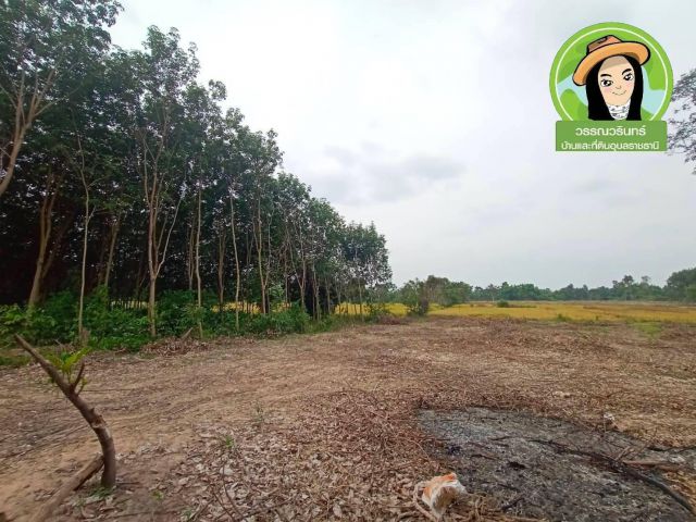 ที่ดินเหมาะสำหรับทำการเกษตร อ.กันทรลักษ์ จ.ศรีสะเกษ