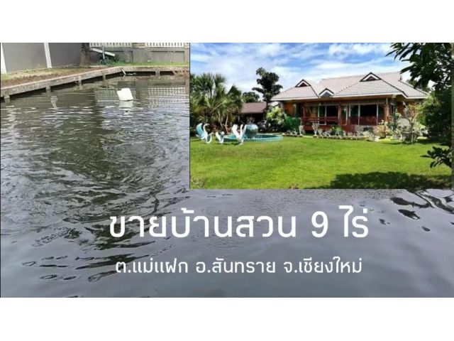 ขายบ้านสวน เนื้อที่ 9ไร่ ราคา 15.9ล้าน สร้างตามหลักฮวงจุ้ย อ.สันทราย จ.เชียงใหม่