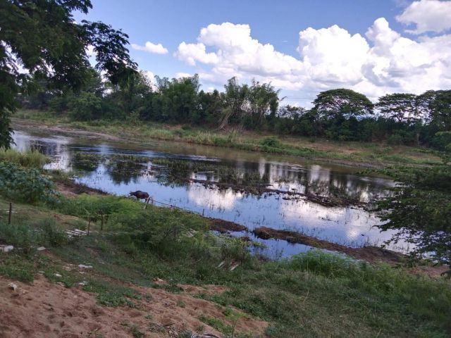 ขายที่ดินติดน้ำปิง จ.เชียงใหม่