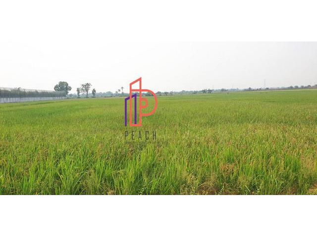 ขายที่ดินเปล่า 10-0-78 ไร่ บางเลน นครปฐม