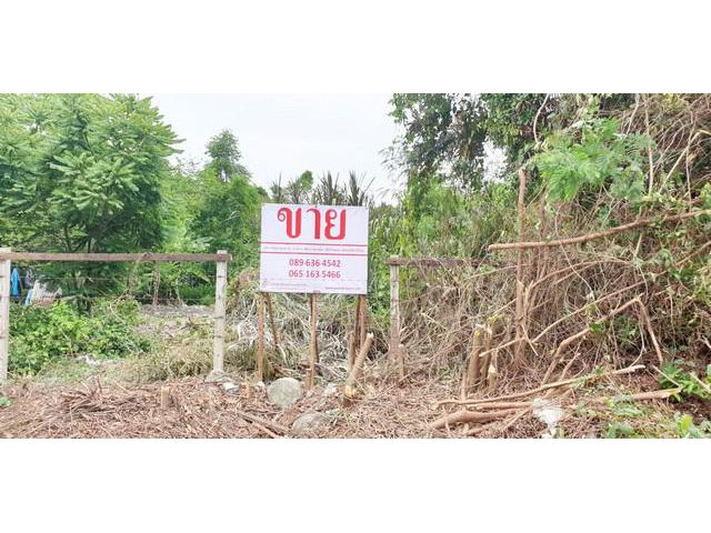 ขายที่ดินเปล่า 76 ตารางวา ม. ส.ภาณุรังษี ซอย 3