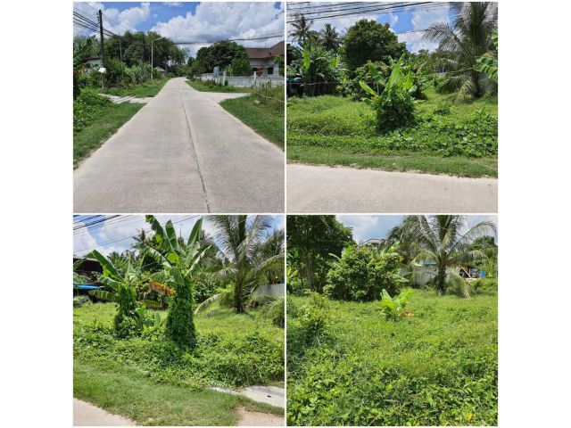 ที่ดินนาหม่อมห่างจากถนนใหญ่ 500 เมตร