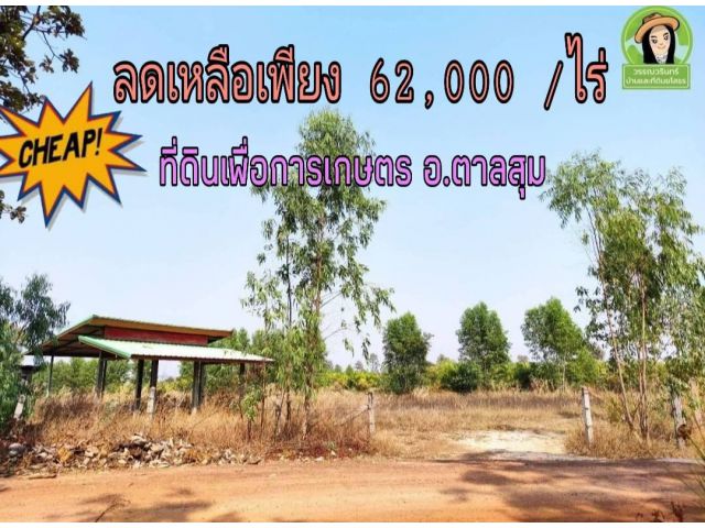 ที่ดิน อ.ตาลสุม ไร่ละ 62,000!!
