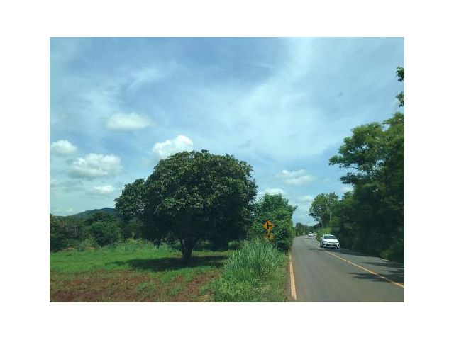 ขายที่ดิน 15 ไร่ ต.หมูสี อ.ปากช่อง จ.นครราชสีมา