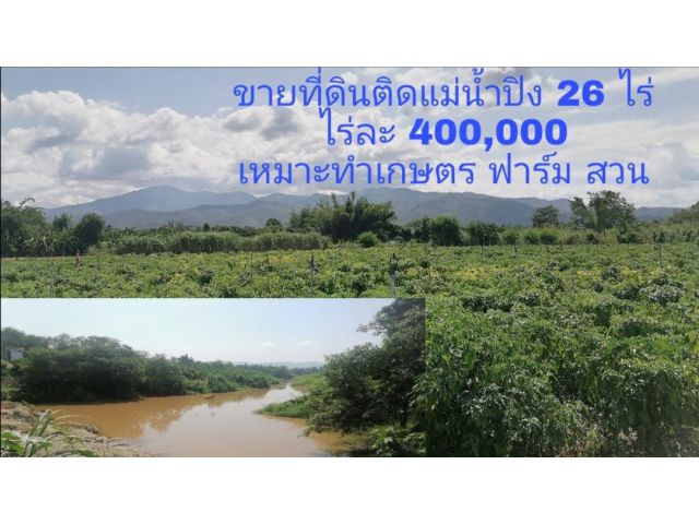 ขายที่ดินติดแม่น้ำปิง 26 ไร่ ไร่ละ 400,000​ เหมาะทำเกษตร ฟาร์ม สวน