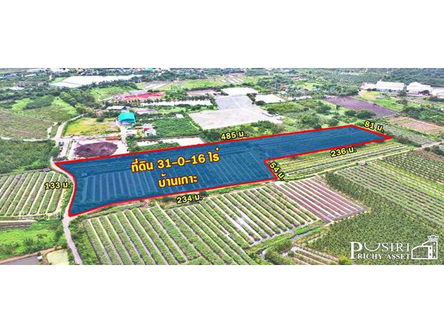 ขายที่ 31ไร่ หน้ากว้างมาก 133เมตร ราคาคุ้มสุดๆในตลาดเชื่อมต่อหลายเส้นทาง ถนนสวนส้ม บางปลา และพระราม 2
