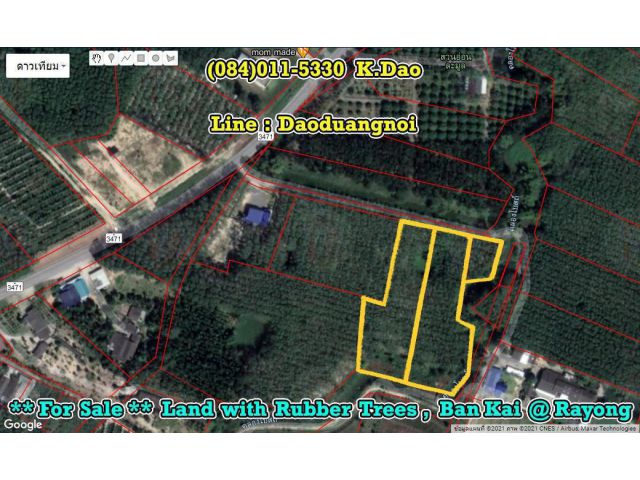 Land with Rubber Trees For Sale Ban Kai @Rayong Sales Price 550,000 Baht