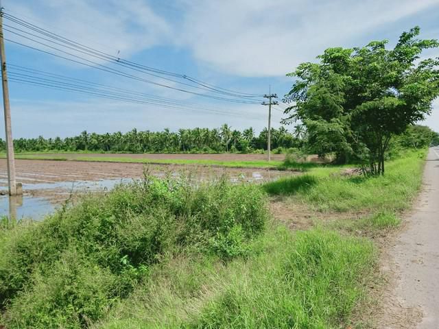 ขายที่ดินบางน้ำเปรี้ยว 21 ไร่ ราคาไร่ละ 1.2 ล้านบาท ติดถนนลาดยางเส้น3481 ใกล้แยกไผ่ดำ 3 กม. จ.ฉะเชิงเทรา