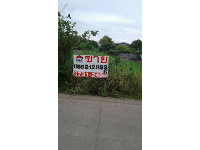 ที่ดิน 107 ตรว. ถ.เทศบาล1 อ.ลำลูกกา