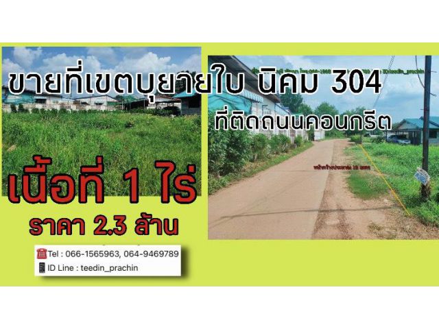 ️ขายที่แปลงเล็กๆ ราคาถูกๆ ในเขตบ้านบุยายใบ นิคม 304 ติดถนนคอนกรีต  เนื้อที่ 1 ไร่