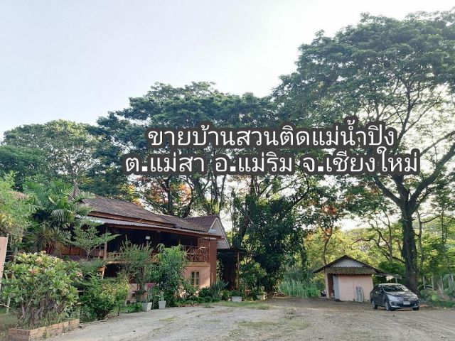 ขายบ้านสวนติดแม่น้ำปิง ที่โฉนดไร่ครึ่ง(ที่งอกอีก2ไร่) ราคา18.5ล. ตรงข้ามอนุสาวรีย์พระนเรศวร อ.แม่ริม จใเชียงใหม่