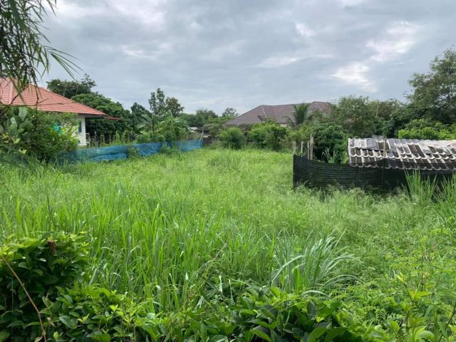 ขายที่ดินด่วน ทำเลสวย ติดถนนสองด้าน  ที่ดินมีขนาด   1  ไร่     91 ตรว.