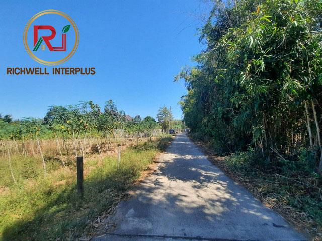 ขายที่ดินอ.พนมสารคาม 1 ไร่ ติดถ.คอนกรีต ใกล้ถ.ฉะเชิงเทรา-กบิทร์บุรี(304) 400 เมตร จ.ฉะเชิงเทรา