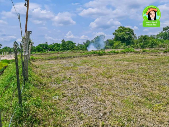 ที่ดินเหมาะทำโคกหนองนา/บ้านนาอุดม/ขามใหญ่