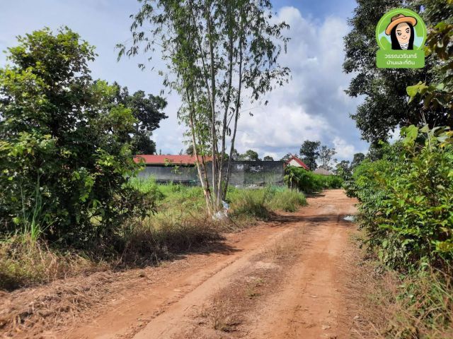 ที่ดินเหมาะทำบ้านสวน บ้านน้ำคำน้อย/ยโสธร