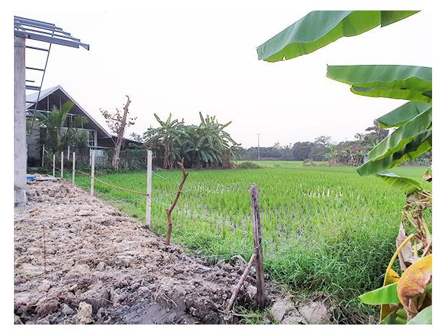 ขายที่ดิน ตอนนี้ทำนาอยู่ ด้านหน้าติดถนนคอนกรีตมีน้ำประปาไฟฟ้าพร้อม
