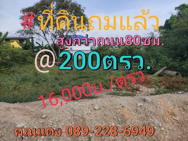 ขายที่ดินราคาถูก 200ตร.ว.ถมแล้วทั้งแปลง ติดถนนคอนกรีต