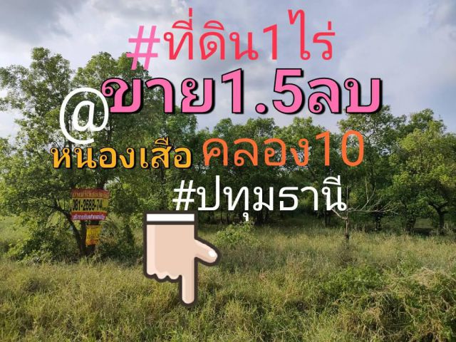 ขายที่1ไร่ วิวธรรมชาติราคาถูกๆที่ดินรูปแปลงสวย 1.5ล้านบาท/ไร่
