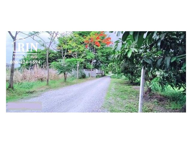 L611 ขาย ที่ดินเปล่า 100 ตร.วา  ซอยร่วมสุข5 ติดถนนติวานนท์ เลียบคลองประปา  ปทุมธานี ใกล้ทางด่วนศรีสมาน เหมาะปลูกบ้าน