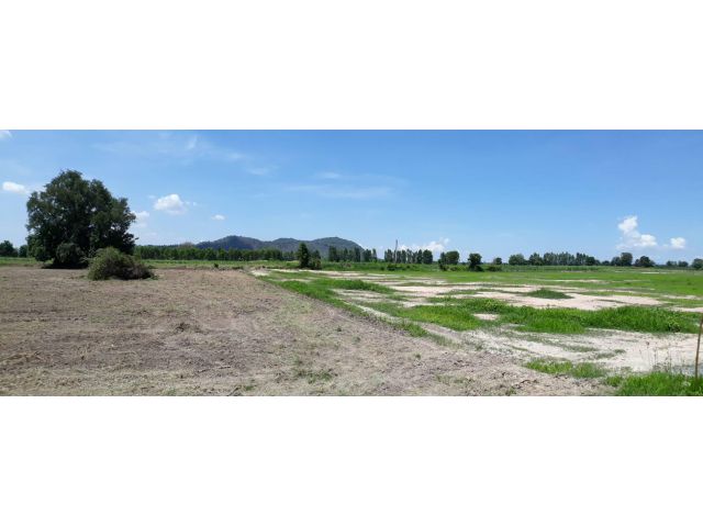 ขายที่ดินสวยวิวเขา อู่ทอง 2ไร่ บรรยากาศดีมากเหมาะสร้างบ้านสวนยามเกษียณทำเลดีใกล้ลาดยาง 100 เมตร