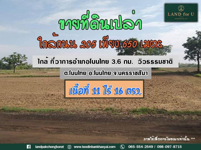 ถูกสุดในย่านนี้ #ขายที่ดินโนนไทย ทำเลดี #ใกล้ถนน 205 เพียง 650 เมตร #วิวธรรมชาติ อากาศดี