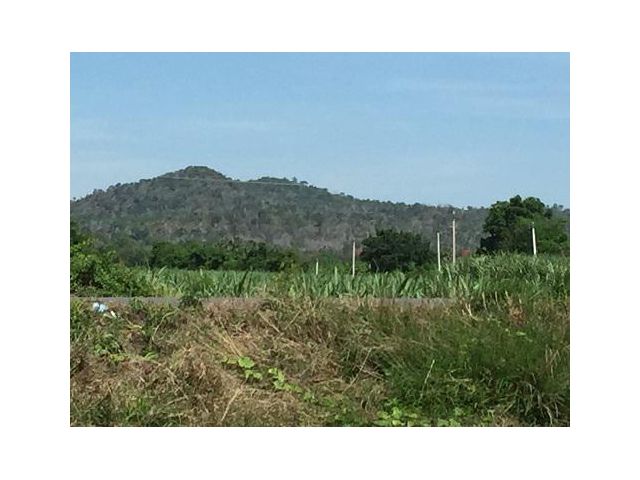 !!!ขายที่ดิน236 ไร่  ติดทางหลวงชนบท สุพรรณบุรี3019 ต.บ้านโข้ง อ.อู่ทอง จ.สุพรรณบุรี