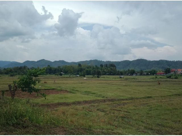 ที่นาต.สบเปิง อ.แม่แตง เชียงใหม่