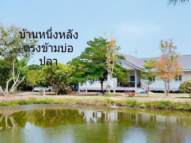 ขายที่ดินแปลงสวย พร้อมบ้านและโฮมสเตย์ ที่ อ.แม่ริมเชียงใหม่ใกล้ สวนดอกไม้ ไอเลิฟฟลาวเวอร์