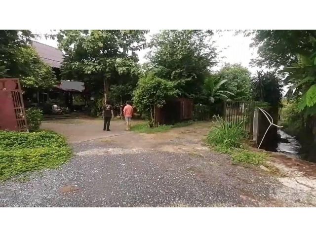 ที่ดินพร้อมสิ่งปลูกสร้างขายถูกป่าตัน เมืองเชียงใหม่