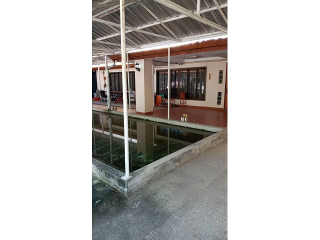 ขายบ้านเดี่ยวพร้อมที่ดิน1ไร่ แม่กวงใต้