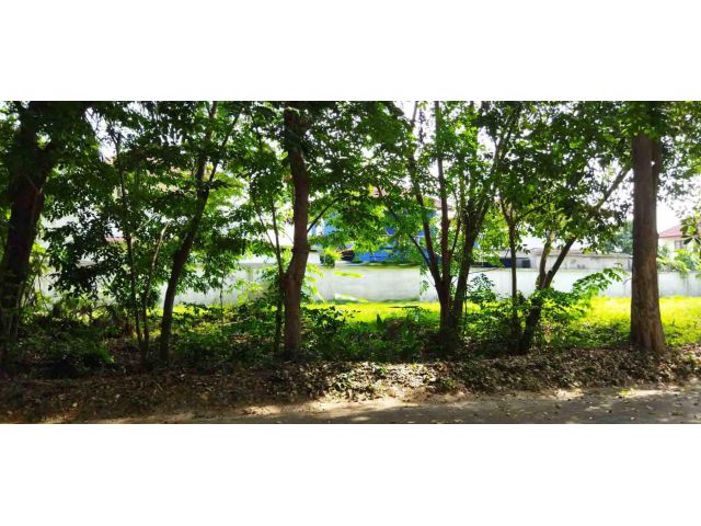 ขายที่ดิน พร้อมเอกสารสิทธฺ์ โฉนด   ที่ดินทำเลสวย   ที่ดินถมเเล้ว มีต้นไม้ใหญ่ ร่มรื่น พร้อมสร้างบ้าน