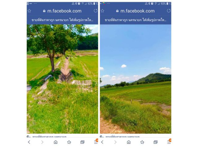 นครนายก 21-2-0ไร่ละ8.5สบ. ที่นาเห็นวิวเขา