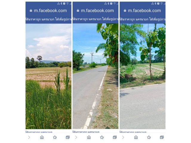 นครนายก10-1-73ไร่ละ5.5สบ.ที่นาติดถนนเห็นวิวเขา