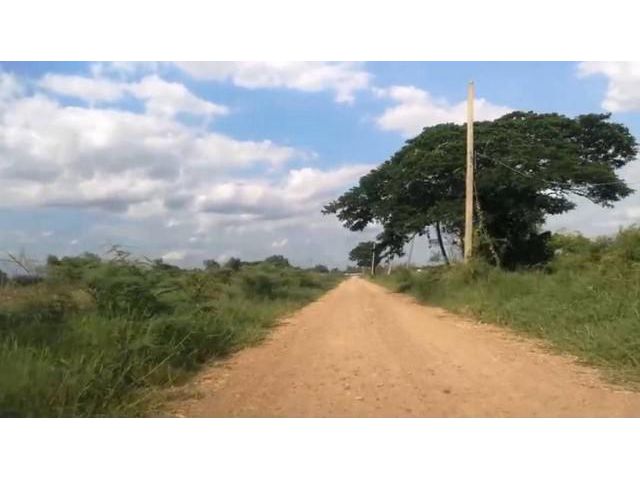 ที่ดิน 1 ไร่ หลังม.เทคนิคธัญบุรี คลอง13 ปทุมธานี