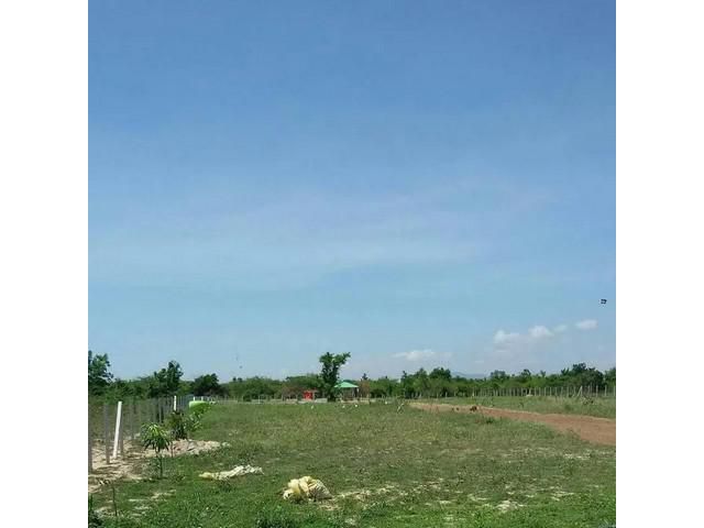 ขายด่วน ที่ดินชะอำ จังหวัดเพชรบุรี