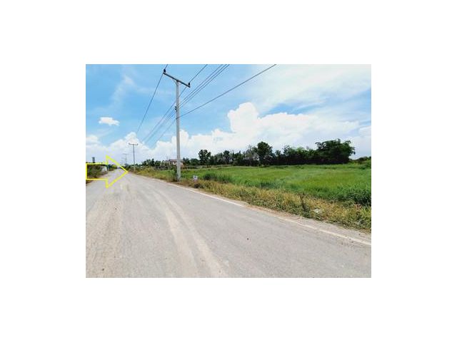 ขายที่ดินติดถนนลาดยาง คลอง 11 หนองเสือ 200 ตรว