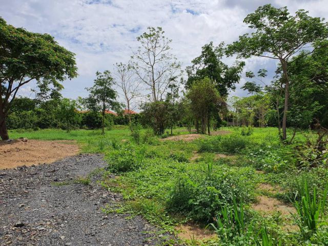 ขายที่ดินทำเลสวย   น้ำ-ไฟ​ ครบติดลำเหมือง​มีน้ำตลอด​ ๆ​ มีต้นไม้เยอะ  ที่ดินมีขนาด   4 ไร่ 1 งาน 53.7 ตรว.. โอนคนละครึ่ง