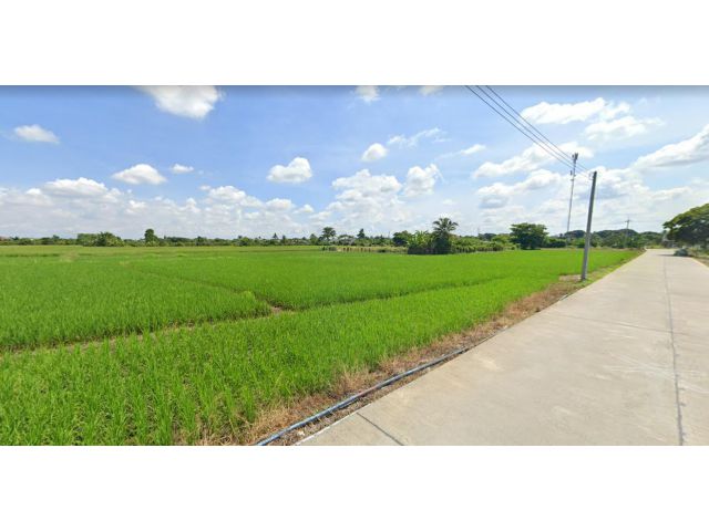 ขายที่ดินทำเลสวย   ที่ดินนา ติดถนนคอนกรีต  ที่ดินมีขนาด  2 ไร่ 2 งาน 78.5 ตรว.. โอนคนละครึ่ง
