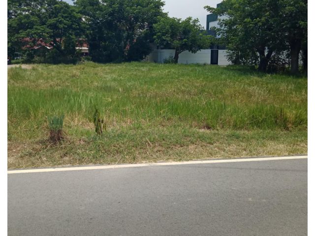 ที่ดินเปล่าใกล้ตัวอำเภอหางดง เชียงใหม่