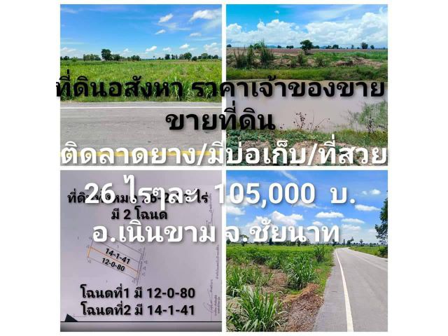 ขายที่ดิน 26ไร่ ติดลาดยาง เนินขาม ชัยนาท