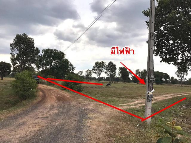 ที่นาบ้านตาสุด ต.จะกง / ศรีสะเกษ